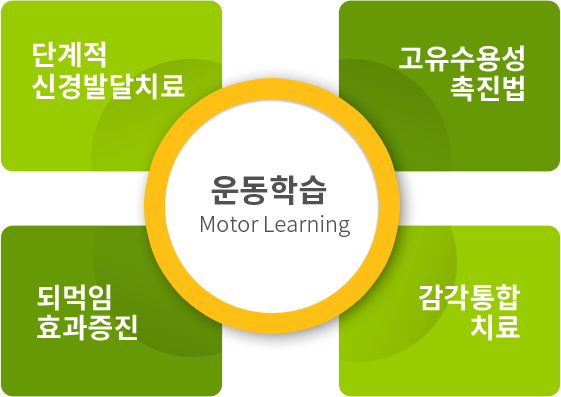 운동학습(Motor Learning) : 단계적 신경발달치료, 고유수용성 촉진법, 되먹임 효과증진, 감각통합치료